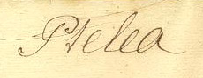 Linnés handstil